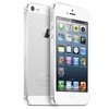 Apple iPhone 5 64Gb white - Белово